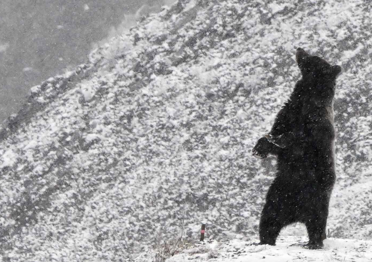 ‘The bear market is not over,’ according to Goldman Sachs