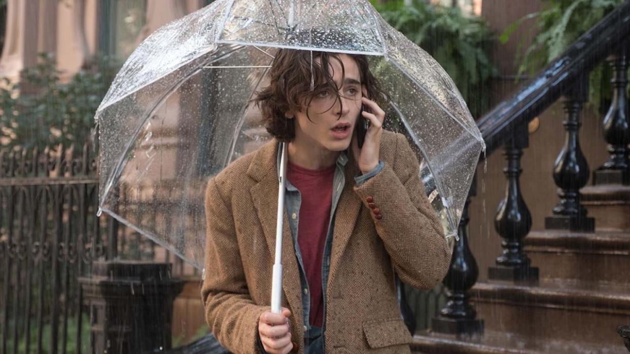 Timothee Chalamet in A Rainy Day In New York (Credit: Amazon)