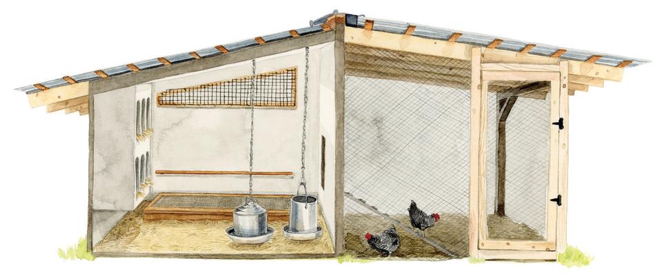 illustration of a chicken coop 