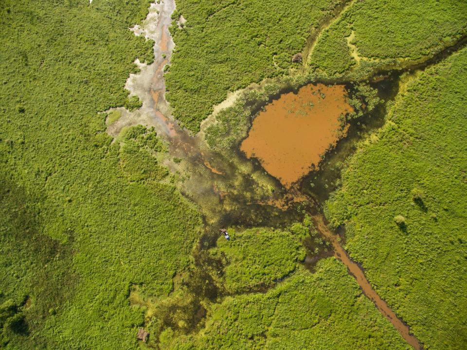 A wetland in western Kentucky, where a Nature Conservancy project has sought to restore hydrology and habitat.