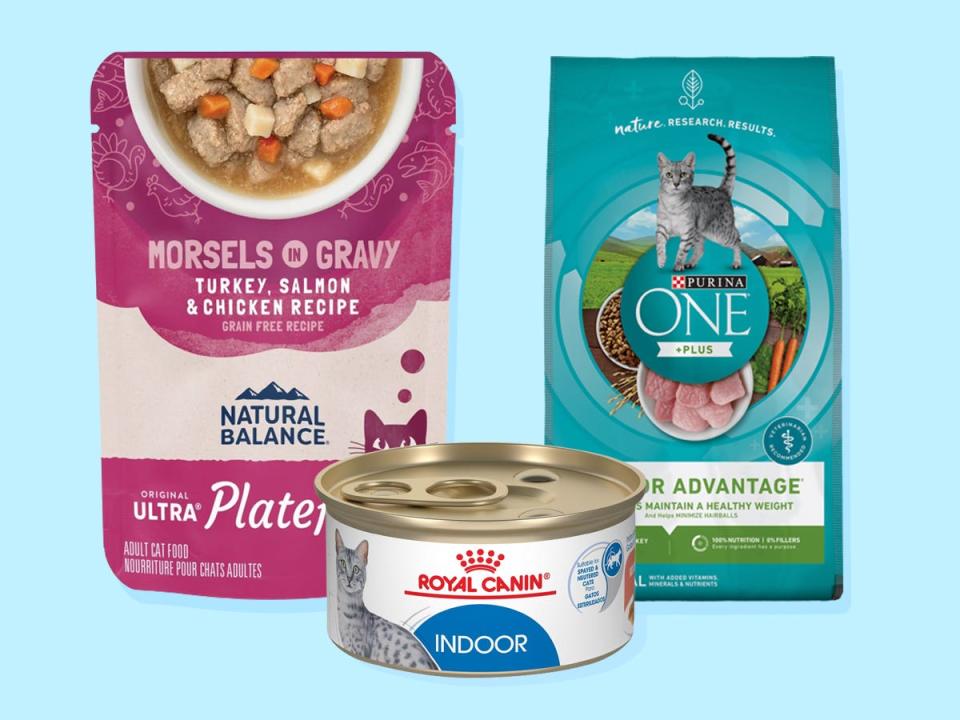 A pouch of Natural Balance wet cat food, Purina dry food, and a can of Royal Canin wet food are on a blue background.