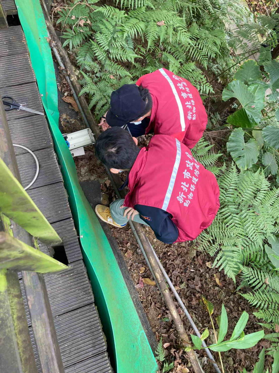 動物廊道出口處架設監視器。   圖：新北市動保處提供