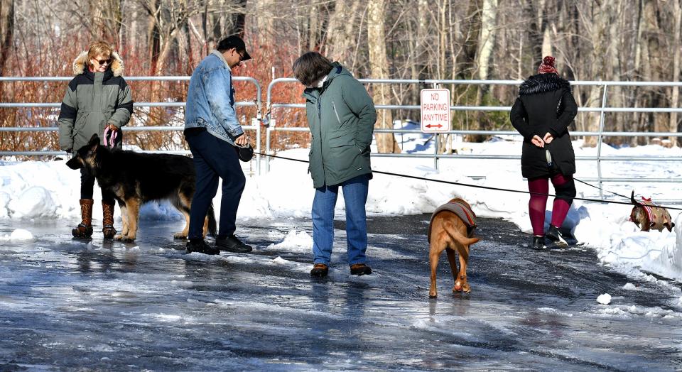 Dog owners negotiate the ice-covered parking area at Boynton Park in Paxton Tuesday.