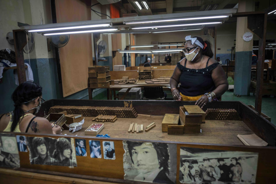 Trabajadoras con mascarillas protectoras seleccionan puros en la fábrica de puros Partagás en La Habana, Cuba, el jueves 11 de marzo de 2021. (AP Foto/Ramón Espinosa)