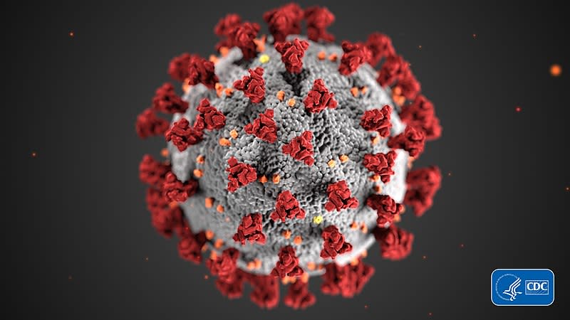 Representación gráfica del virus SARS-CoV-2 (Imagen creative commons vista en Wikipedia).