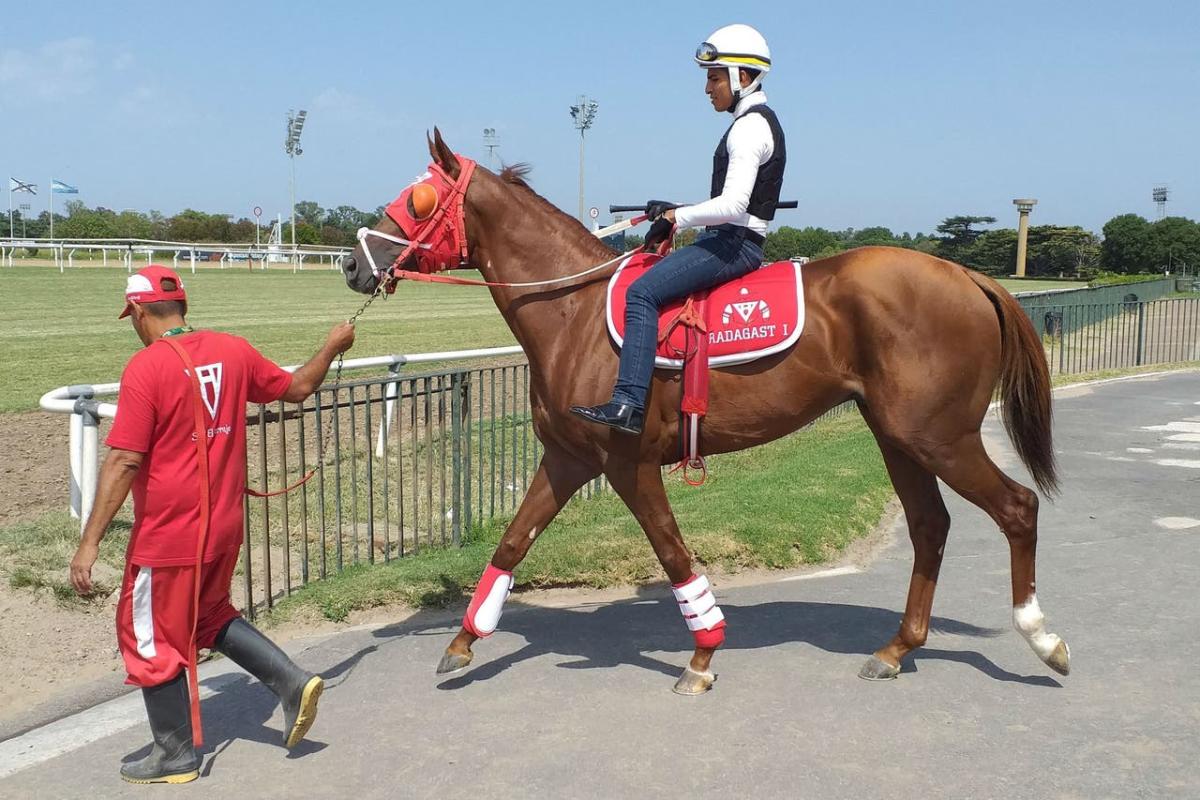 La hípica castiga el abuso contra los caballos: el uso excesivo de la fusta  será motivo de descalificación