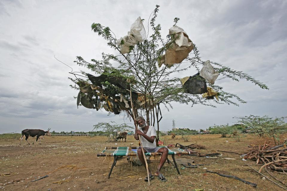 reuters environmental photos of the year 2019