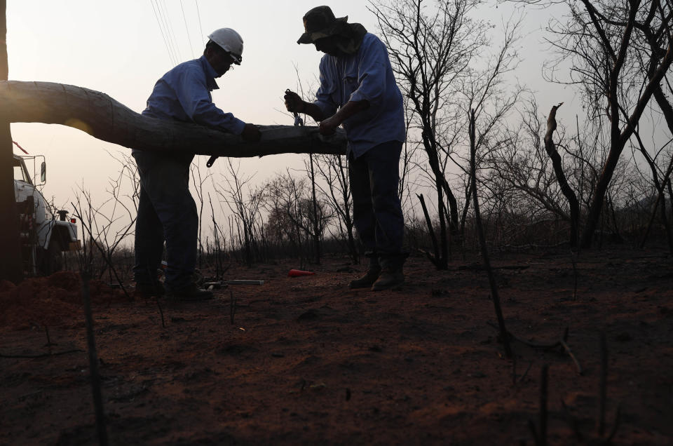Electrical network workers repair an electric power pole, in the aftermath of a forest fire near the town of Robore, Bolivia, Friday, Aug. 23, 2019. Bolivia, along with Brazil, is struggling to contain wildfires, many believed to have been set by farmers clearing land for cultivation. (AP Photo/Juan Karita)
