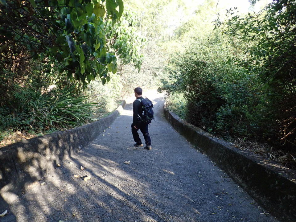 挑水古道＋碧山古道