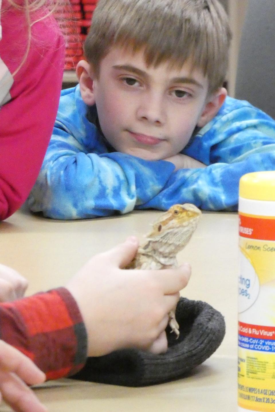 Andrew Butterman, 10, admires Allie the bearded dragon during the first meeting of Bucyrus Public Library's Reptile Club in March.