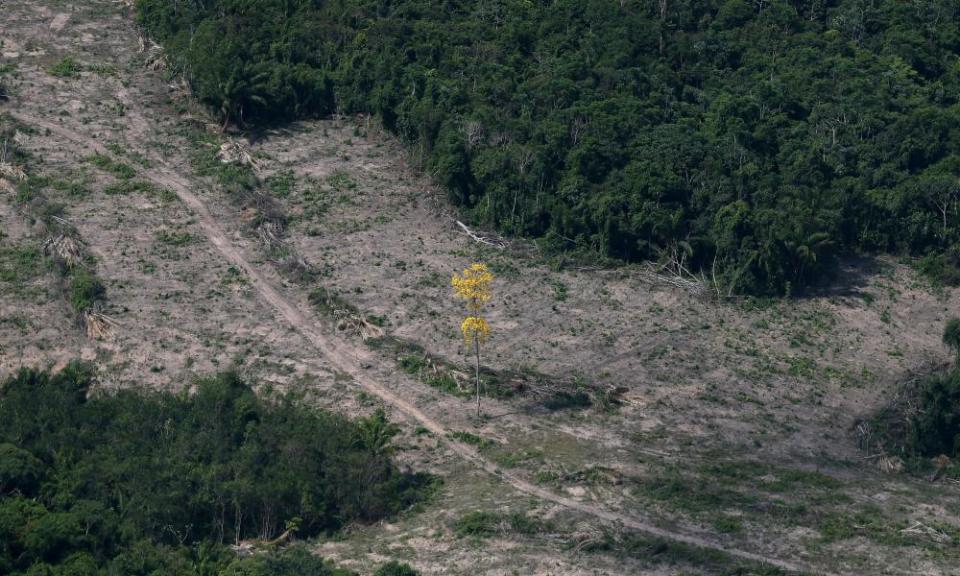 <span>Photograph: Ricardo Moraes/Reuters</span>