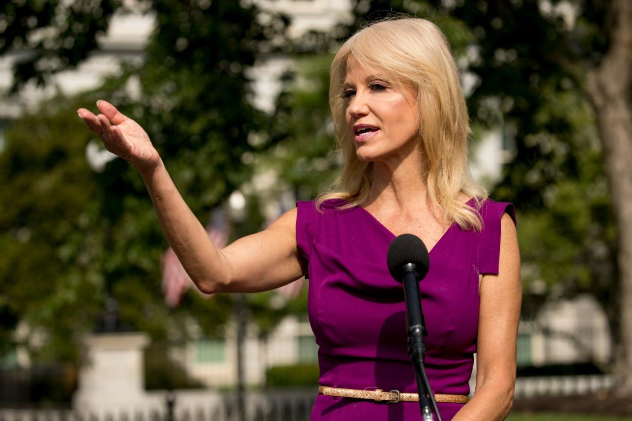 Kellyanne Conway holds forth outside the White House: AP