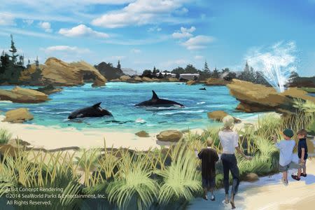 An artist's rendering of Sea World's new killer whale habitat expansion project, Blue World, is shown in this handout provided by Sea World, September 25, 2015. REUTERS/Sea World/Handout