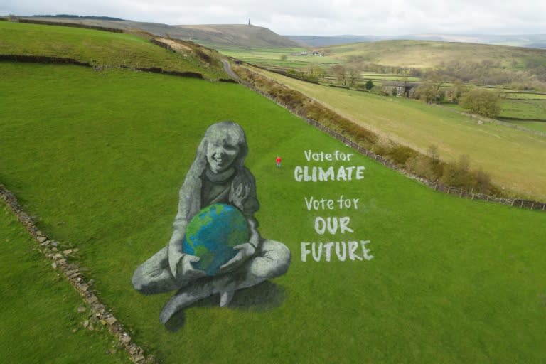 Artist Jamie Wardley created the painting for Earth Day to remind voters to consider the environment when they cast their ballots (Oli SCARFF)