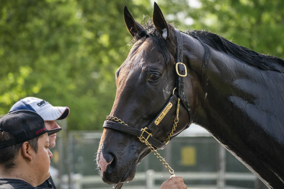 We the People is bathed after training before the 154th running of the Belmont Stakes horse race, Thursday, June 9, 2022, in Elmont, N.Y. (AP Photo/John Minchillo)