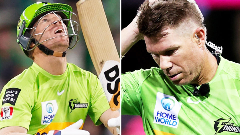 David Warner, pictured here after making just two for the Sydney Thunder against the Melbourne Stars. 