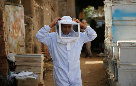 A beekeeper holds a veil to protect from bees at his farm in Shibin El Kom, Al- Al-Monofyia province, northeast of Cairo, Egypt November 30, 2016. Picture taken November 30, 2016. REUTERS/Amr Abdallah Dalsh