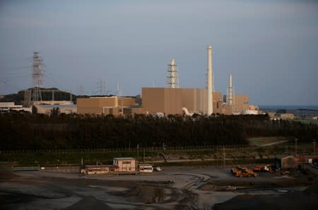 FILE PHOTO: Chubu Electric Power Co.'s Hamaoka Nuclear Power Station is seen in Omaezaki