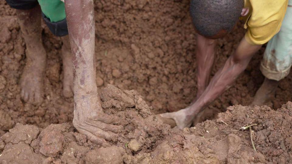 Hands dig in the mud