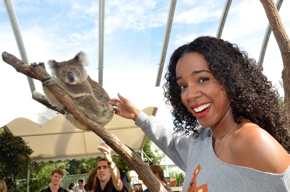 Celebrity photos: Following One Direction’s lead, Kelly Rowland also spent time with some cute koalas this week, as she visited an Australian zoo.