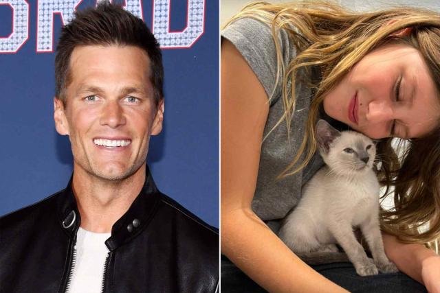 Tom Brady on X: The picture I was going to post, and Vivi's version   / X