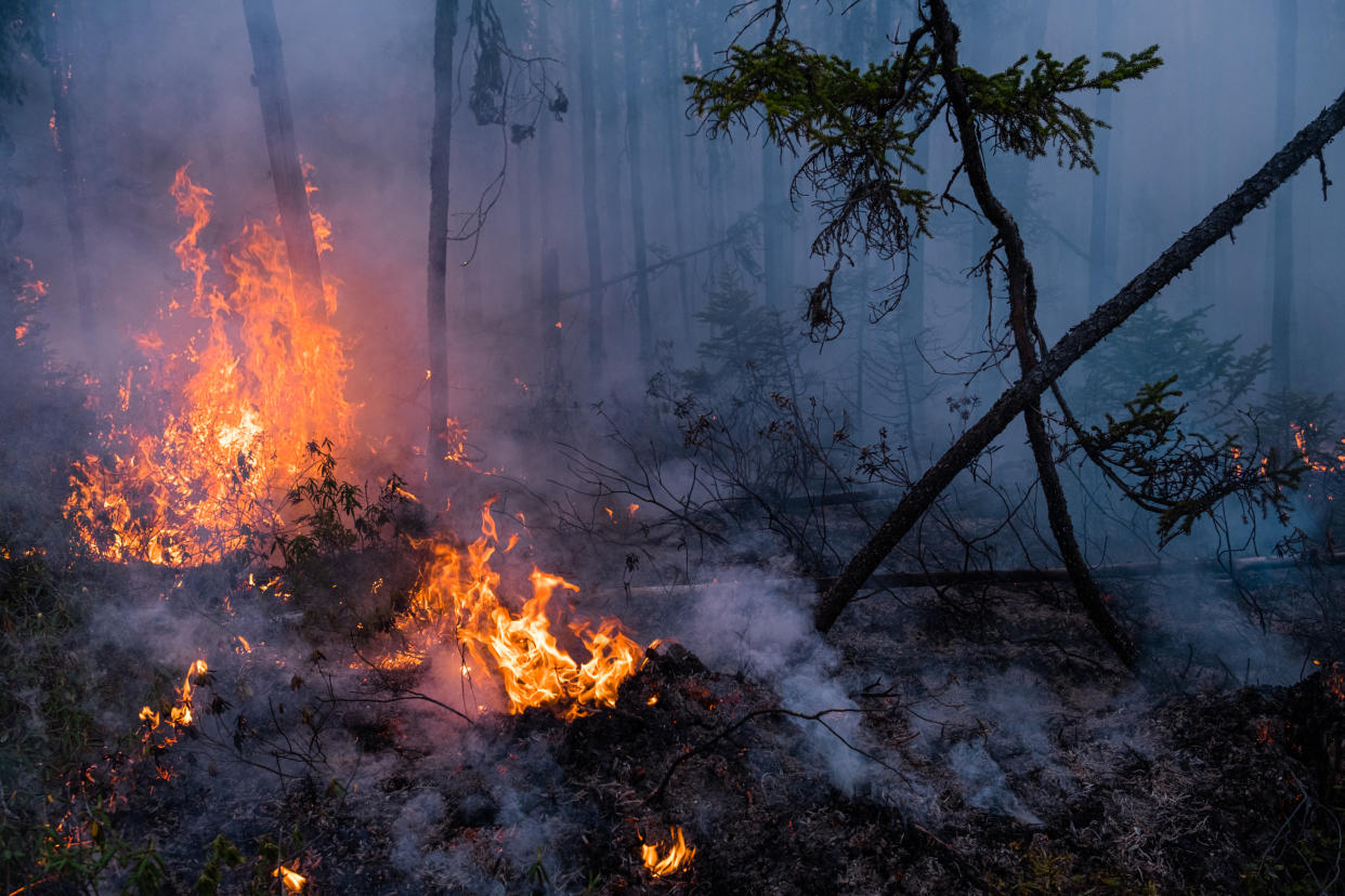 Llamas y maleza humeante en una zona de incendios forestales al norte de Obedjiwan, Quebec, Canadá, el 12 de junio de 2023. (Renaud Philippe/The New York Times)