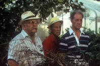 American actors Wilford Brimley, Hume Cronyn and Don Ameche acting in a greenhouse in the film Cocoon. 1985 (Photo by Mondadori via Getty Images)