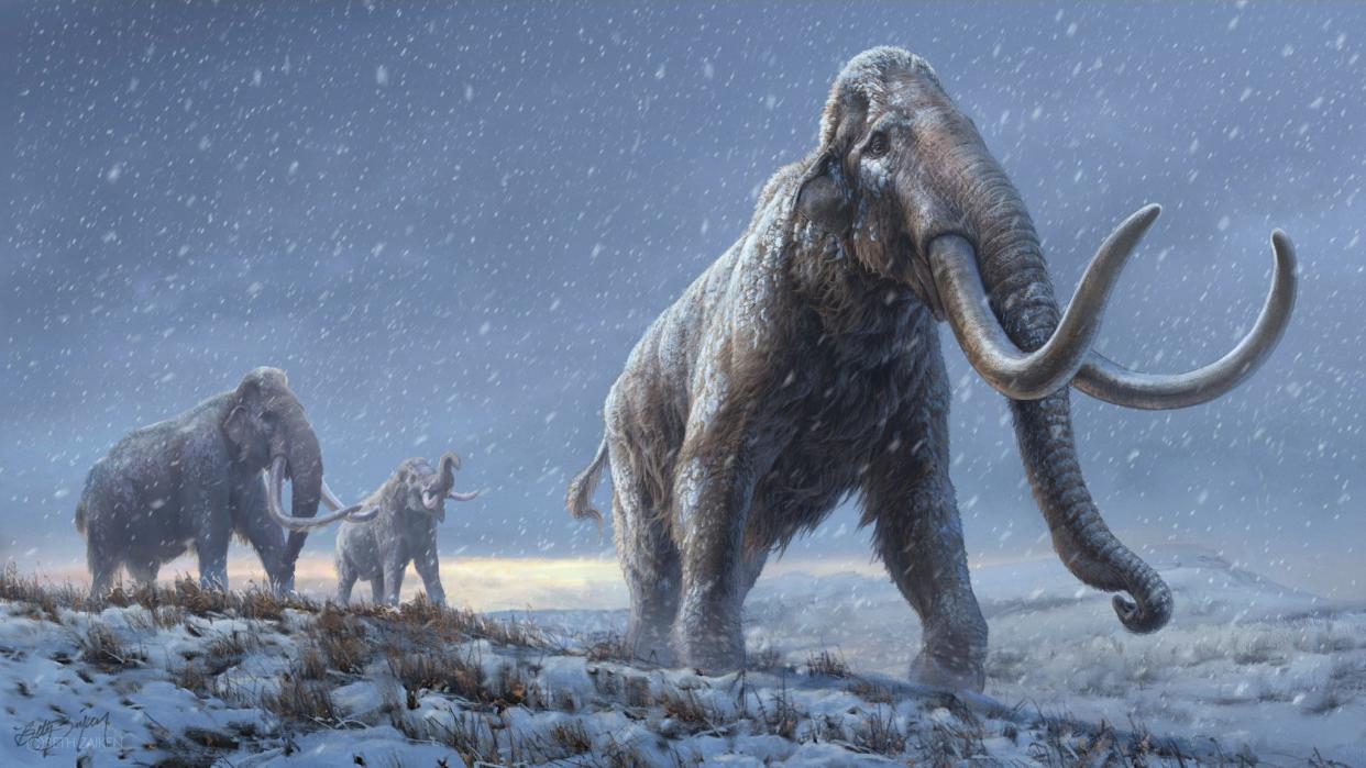 wooly mammoths siberia dna