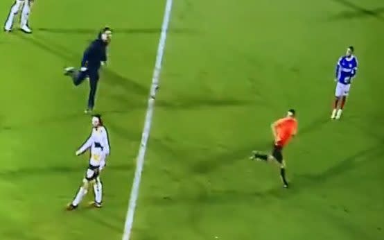 Referee chases fan