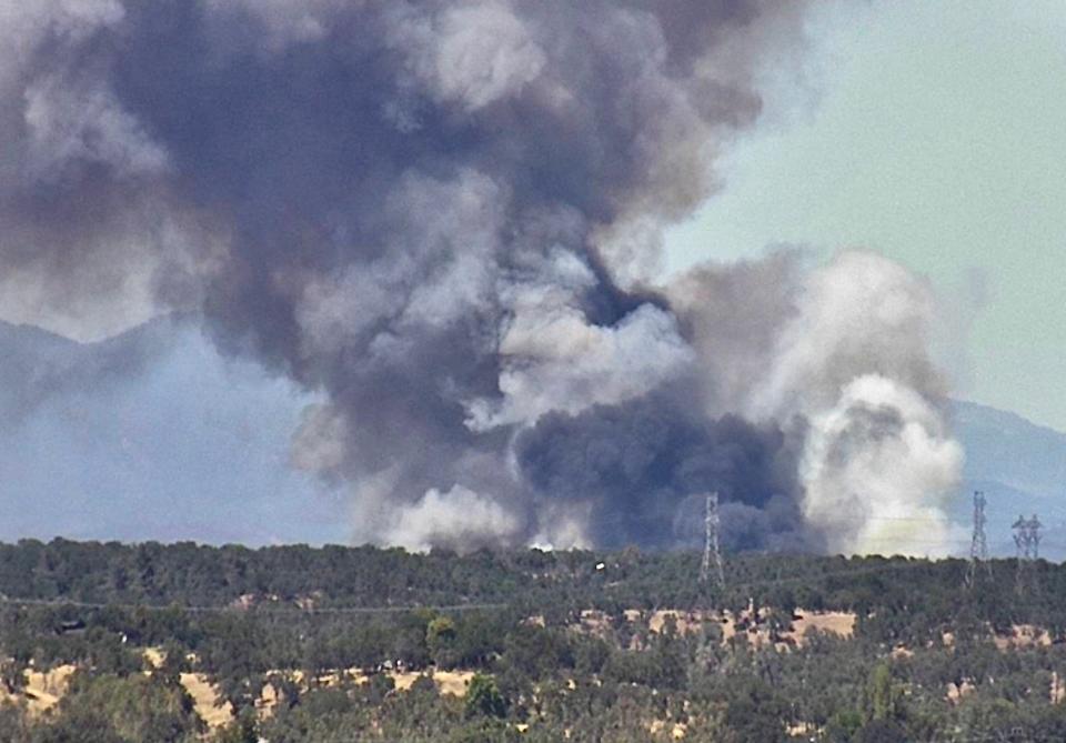 A vegetation fire was burning at the end of Peter Pan Gulch Road off Olinda Road just west of Anderson on Thursday afternoon, July 14, 2022.