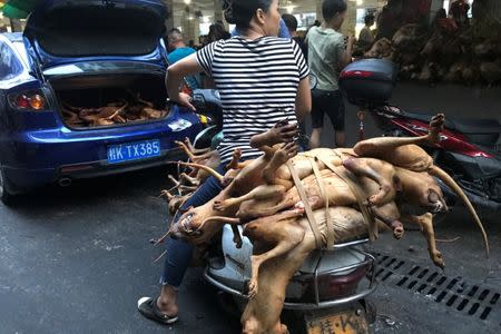 Butchered dogs are transported to a vendor's stall at a market during the local dog meat festival in Yulin, Guangxi Zhuang Autonomous Region, China June 21, 2018. REUTERS/Tyrone Siu