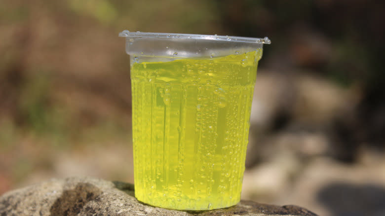 Plastic cup of iced Mountain Dew