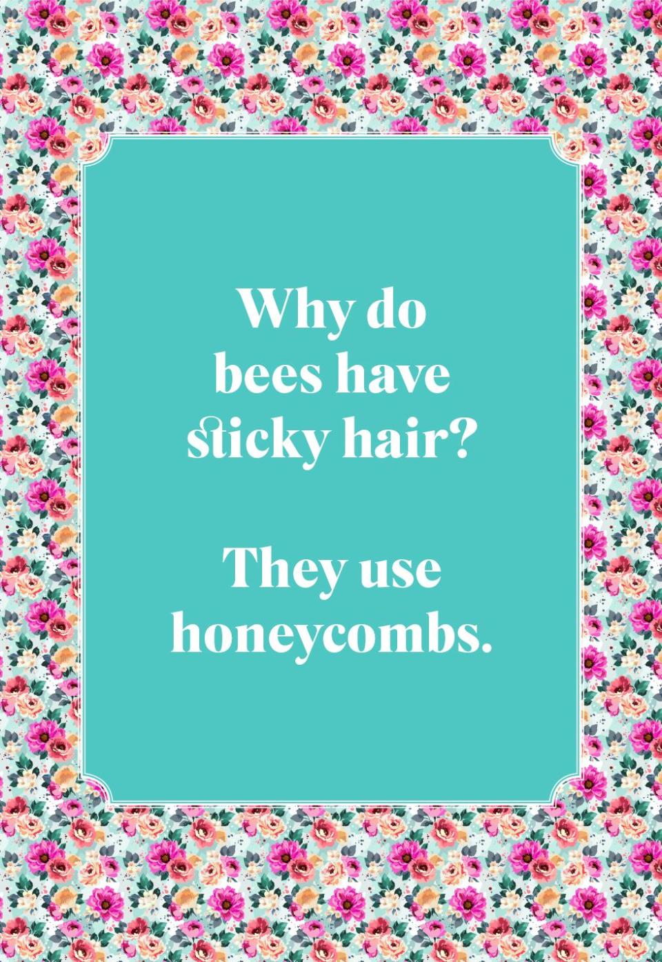 Why do bees have sticky hair?