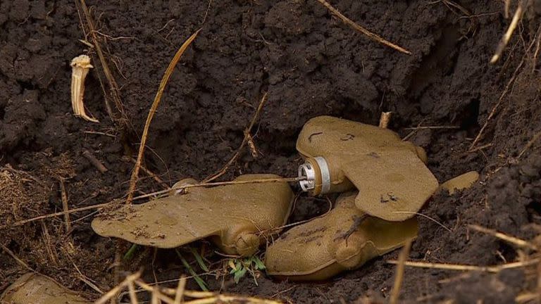 Las minas "mariposa" pueden parecer juguetes para los niños y están prohibidas por el derecho internacional