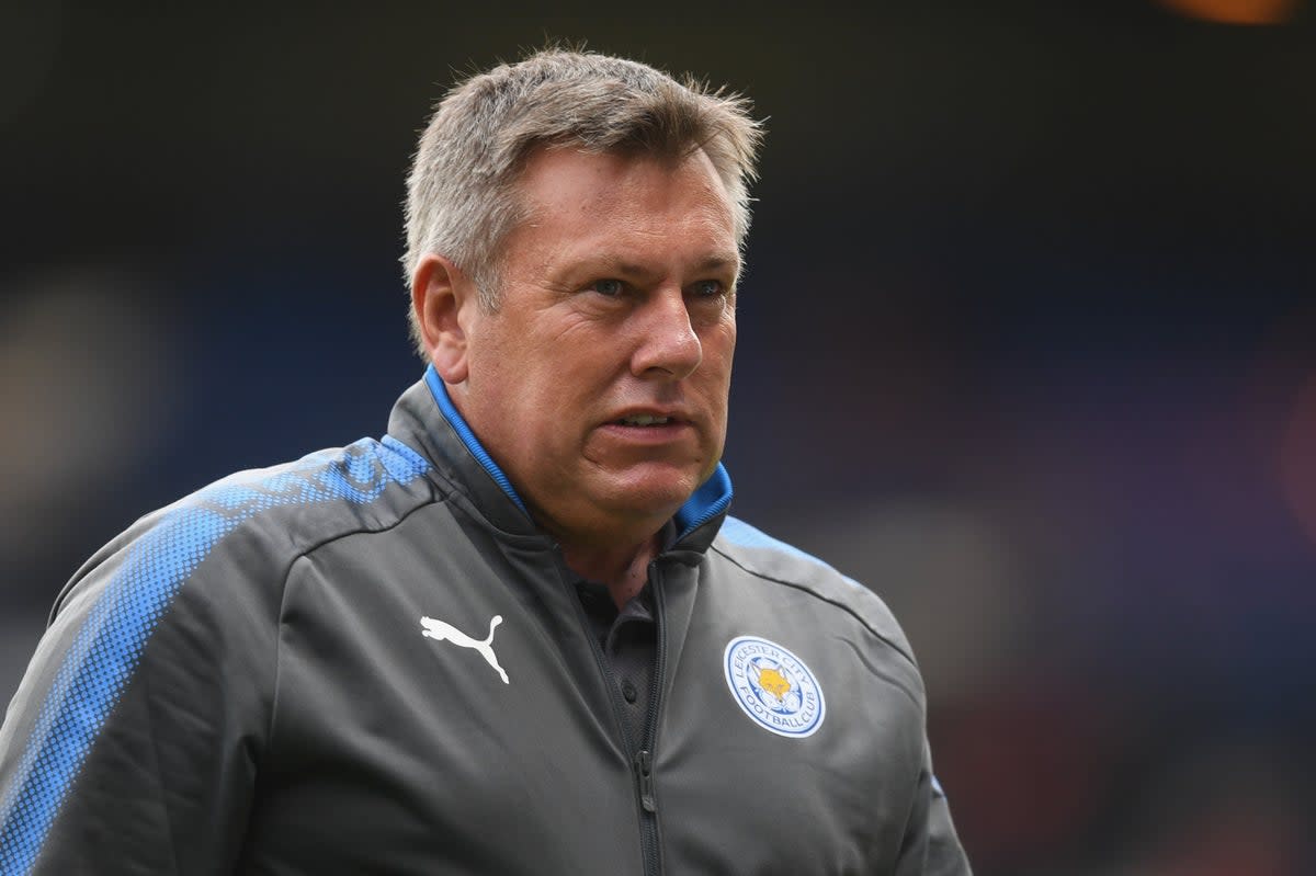 Craig Shakespeare led Leicester into the Champions League quarter-finals in 2017  (Getty Images)