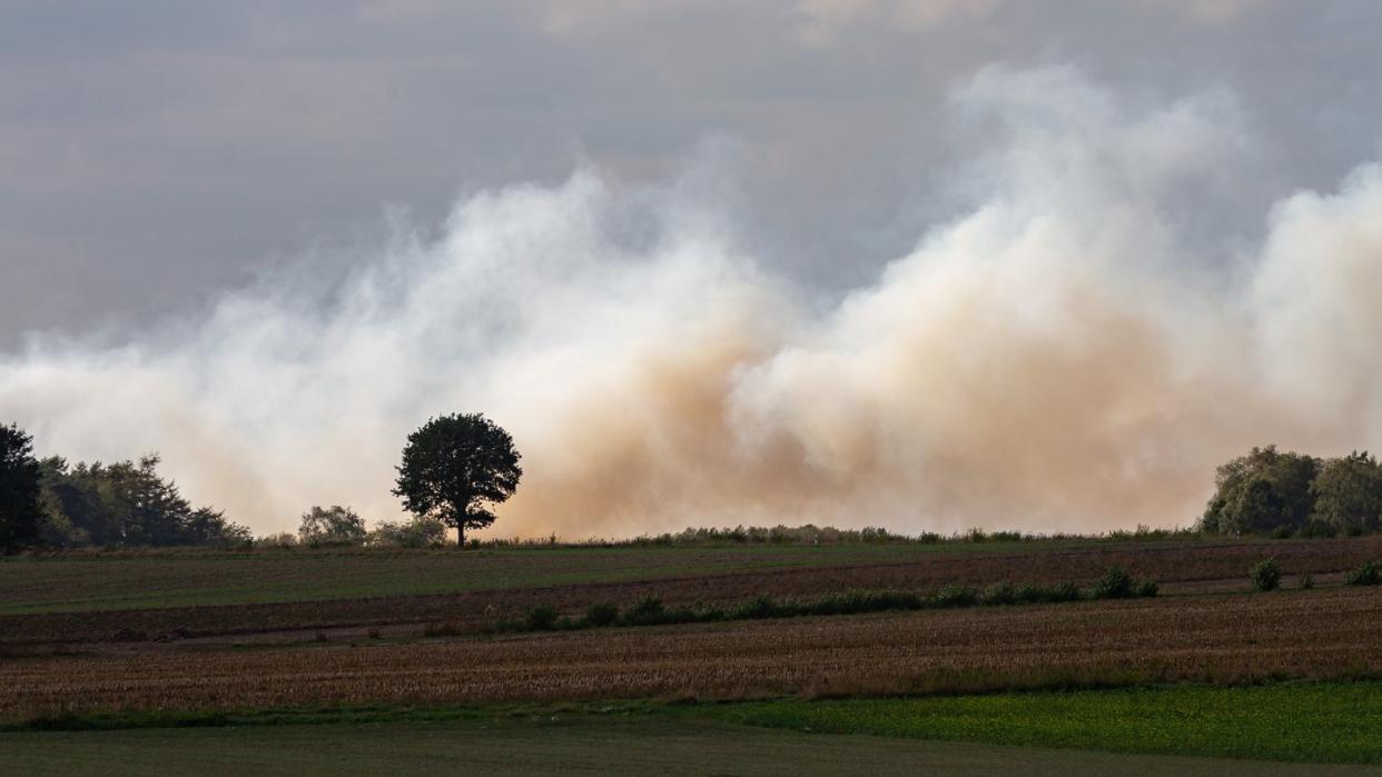 Auf einem Testgelände der Bundeswehr stehen seit dem 04. September fünf Hektar Moorland in Brand. Foto: Mohssen Assanimoghaddam