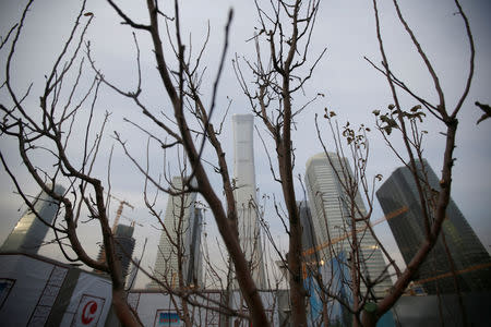 A tree is pictured in front of buildings in Beijing's central business area, China January 18, 2019. REUTERS/Jason Lee