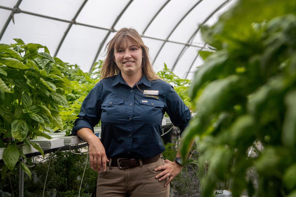 Biltmore gardener Sarah Woodby stands among the basil plants in a hydroponic greenhouse at the Biltmore Estate, September 13, 2023.