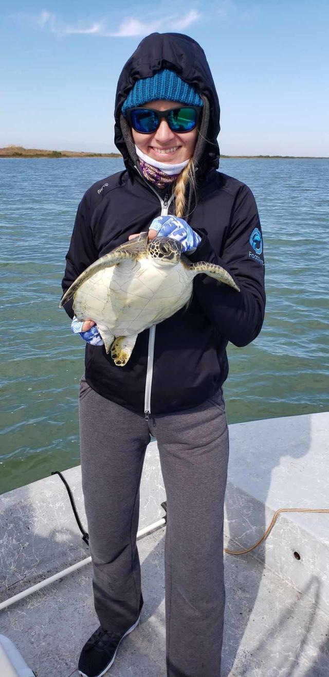 Viral Video Of Sea Turtle With Plastic Straw In Nostril