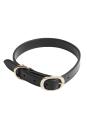 <p><strong>The Daily Edited</strong></p><p>thedailyedited.com</p><p><strong>$60.00</strong></p><p><a href="https://www.thedailyedited.com/black-small-dog-collars" rel="nofollow noopener" target="_blank" data-ylk="slk:Shop Now;elm:context_link;itc:0;sec:content-canvas" class="link ">Shop Now</a></p><p>Show them you know their dog's worth it too by splashing out on a customized leather collar.<br></p>