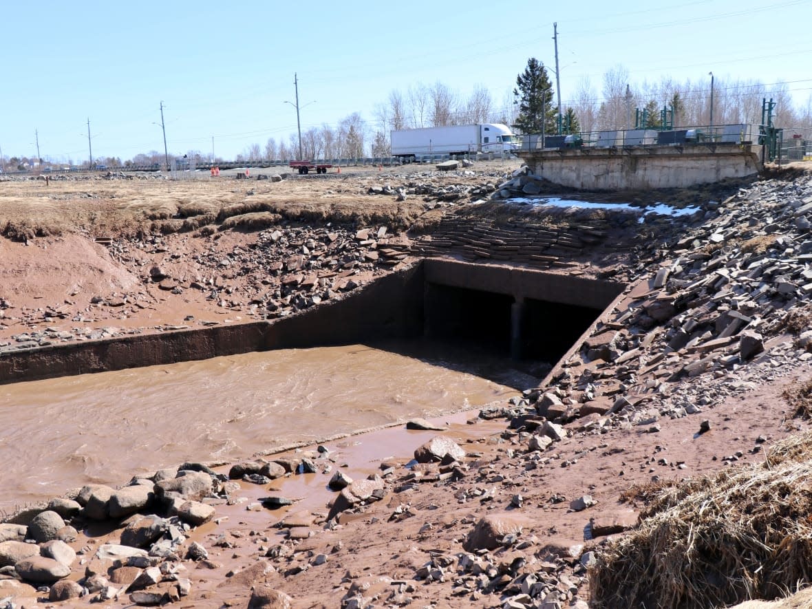 The gates beneath the Highway 101 causeway in Windsor have been ordered shut by an emergency order from the provincial government. (Paul Palmeter/CBC - image credit)