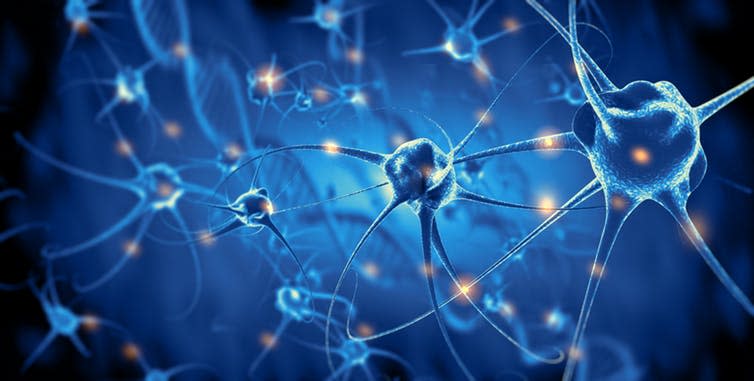 <span class="caption">Electrical impulses travel through neurons.</span> <span class="attribution"><a class="link " href="https://www.shutterstock.com/image-illustration/active-nerve-cells-3d-rendering-764353078?src=jVALGC811PjTAywtLz_z8A-1-3" rel="nofollow noopener" target="_blank" data-ylk="slk:Giovanni Canchemi/Shutterstock.;elm:context_link;itc:0;sec:content-canvas">Giovanni Canchemi/Shutterstock.</a></span>