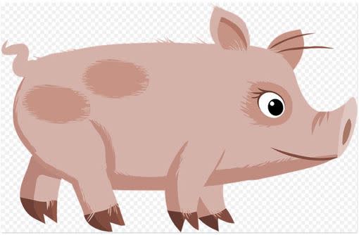 屬豬的人是一個有福氣的生肖！（圖／翻攝自pixabay）