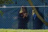 Fans look through holes in the fence along the the 12th hole during the first round of the PGA Championship golf tournament at TPC Harding Park Thursday, Aug. 6, 2020, in San Francisco. (AP Photo/Jeff Chiu)