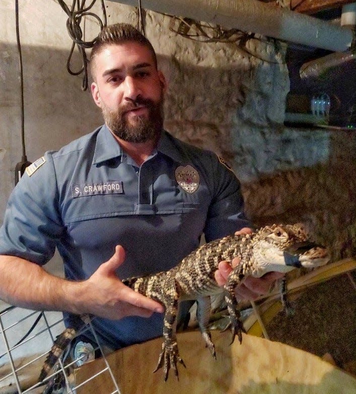 Monmouth County SPCA animal control supervisor Scott Crawford holds a lizard the agency took in.