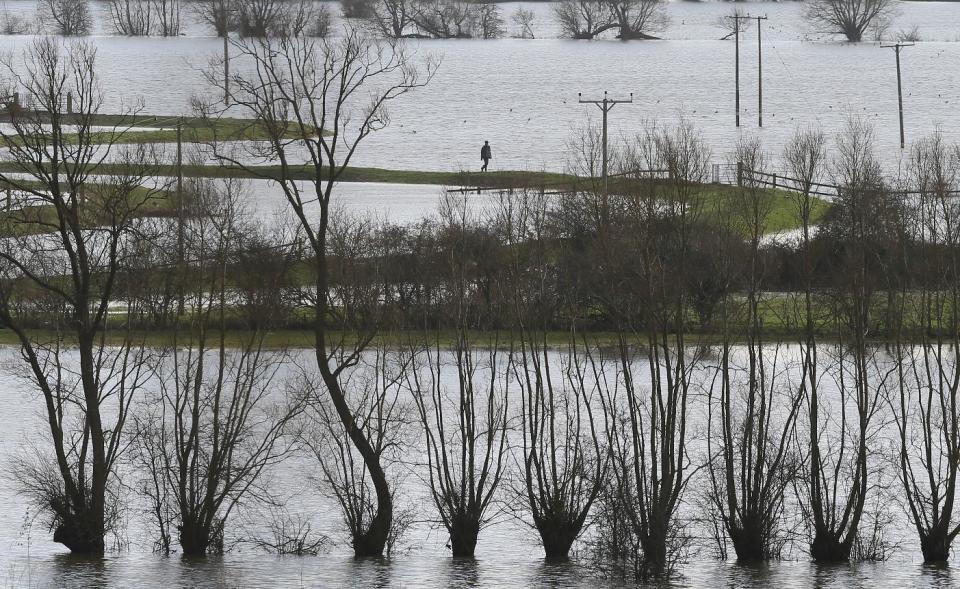 In this photo taken Sunday Feb. 2, 2014, a man walks along the raised banks of the flooded River Parrett near Muchelney in Somerset, England, the village has been cut off by road since Jan. 1 this year. Here on the Somerset Levels _ a flat, marshy region of farmland dotted with villages and scored by rivers and ditches _ it's often wet. But not this wet. Thousands of acres of this corner of southwest England have been under water for weeks, some villages have been cut off for more than a month, and local people forced to take boats to get to school, work and shops are frustrated and angry. Some blame government budget cuts and environmental bureaucracy. Others point to climate change. Even plump, endangered water voles are the target of ire.(AP Photo/Alastair Grant)