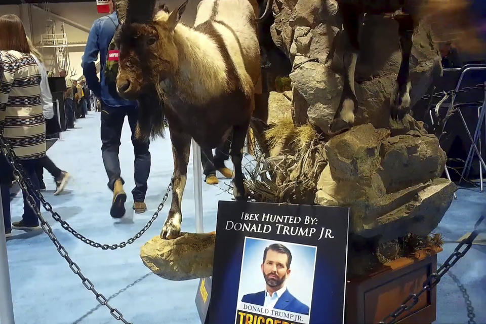 This image from video provided by the Humane Society of the United States shows taxidermy at the Safari Club International's 2020 annual convention, that was held Feb. 5-8, 2020, in Reno, Nevada. An undercover video recorded by animal welfare activists shows vendors at a recent trophy-hunting convention promoting trips to shoot captive-bred lions in Africa, despite past public assurances by the event's organizers that so-called canned hunts wouldn't be sold. An avid hunter, Donald Trump Jr. was among the featured speakers at the SCI convention last weekend. (Humane Society of the United States via AP)