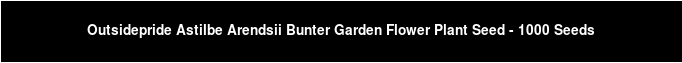 Outsidepride Astilbe Arendsii Bunter Garden Flower Plant Seed - 1000 Seeds