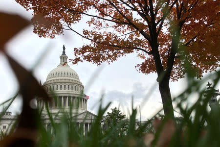 A general view of autumn foliage at the U.S. Capitol in Washington, U.S. November 2, 2018. REUTERS/Jonathan Ernst/