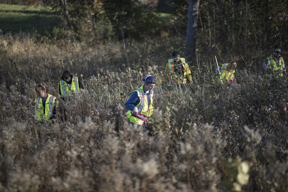 Volunteers search for evidence in the woods and fields near Jayme Close's home in Barron, Wisconsin. (Photo: Associated Press)